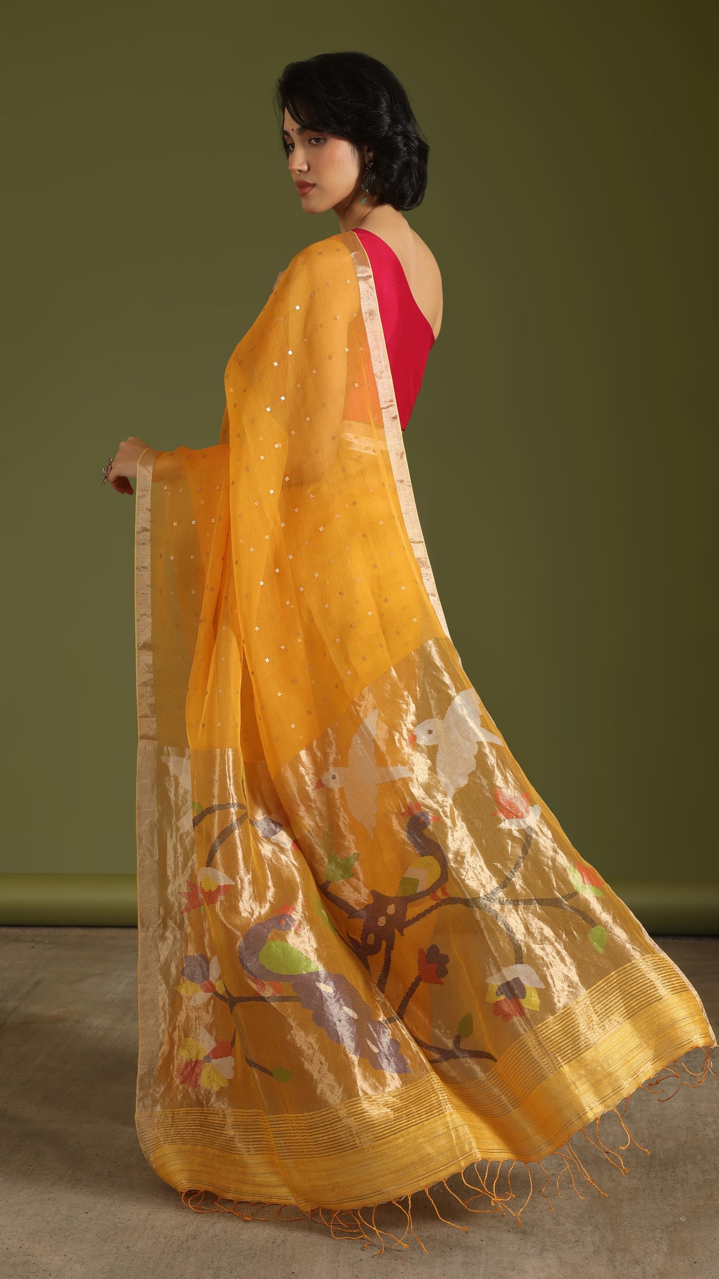 Chidiya Baag