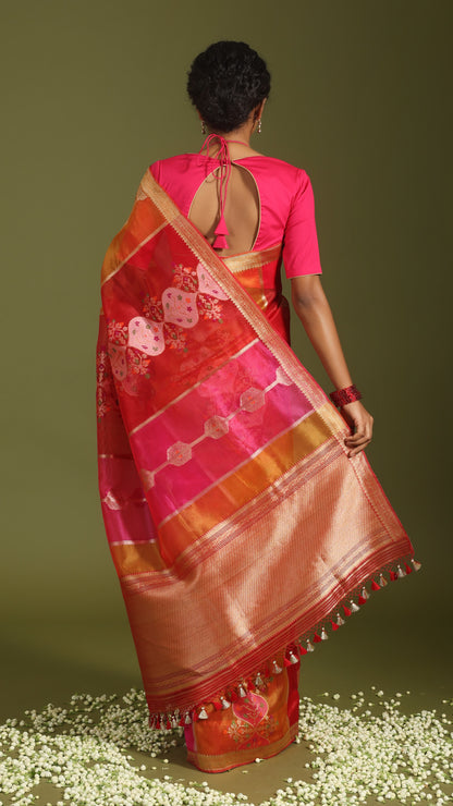 Anvesha