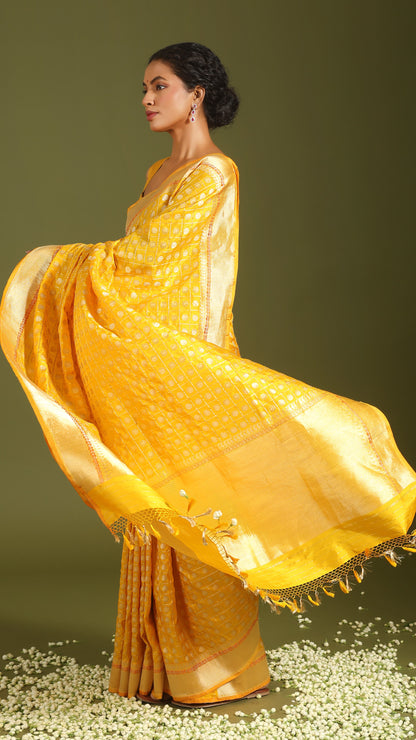 Suryanshi