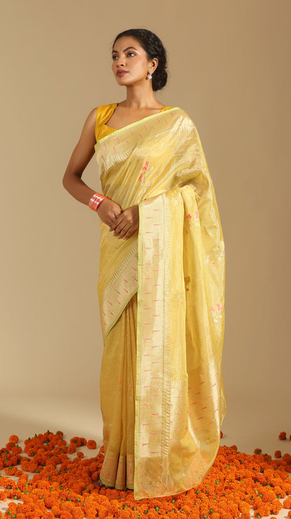 Hemangi