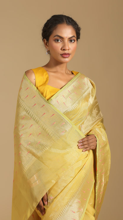 Hemangi