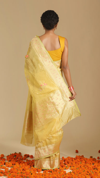 Hemangi