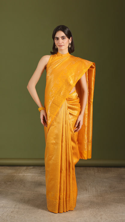 Sanjhini