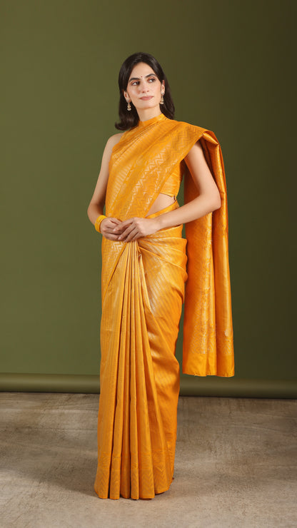 Sanjhini