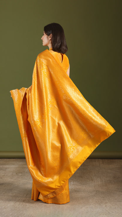 Sanjhini
