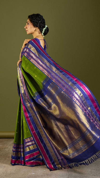 Aavani