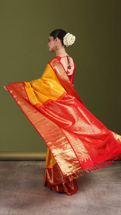 Damini